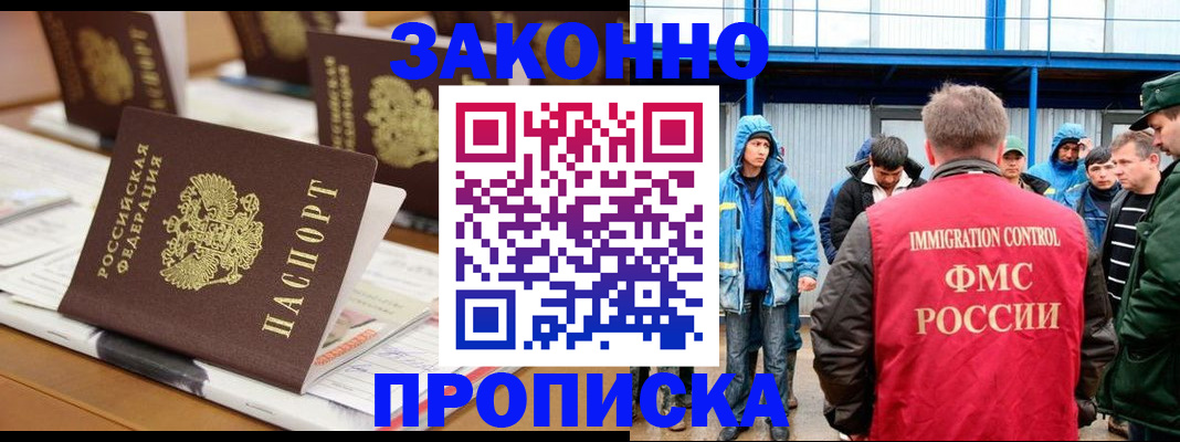 прописка поиск в Ельне